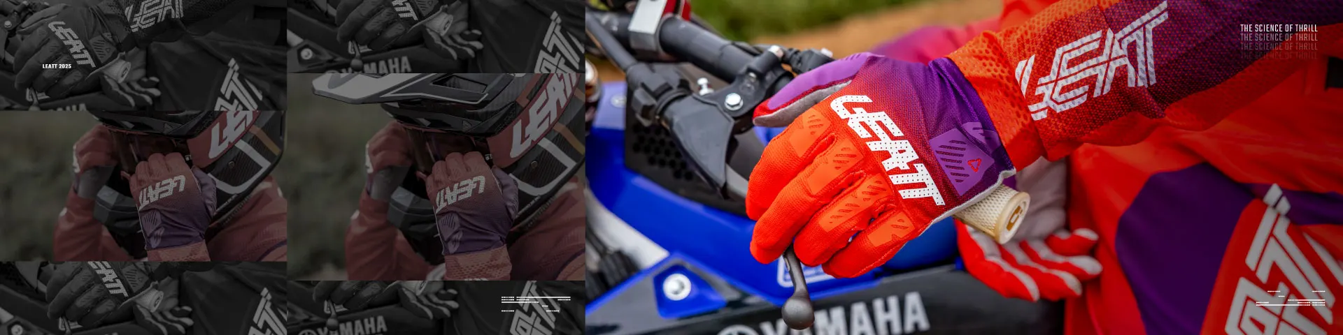 Gloves